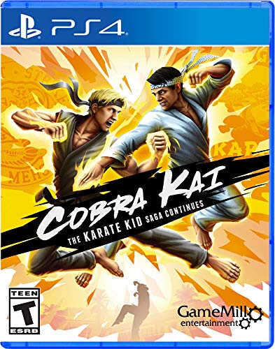 Cobra Kai Karate Kid Saga